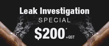 Leak Investigation Discount Te Atatū South