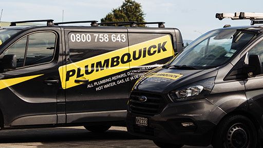 Professional Te Atatū South Plumbers